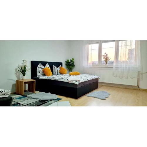 Central apartment in LINZ