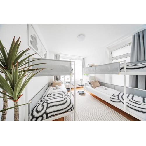 Central Apartment Lofts