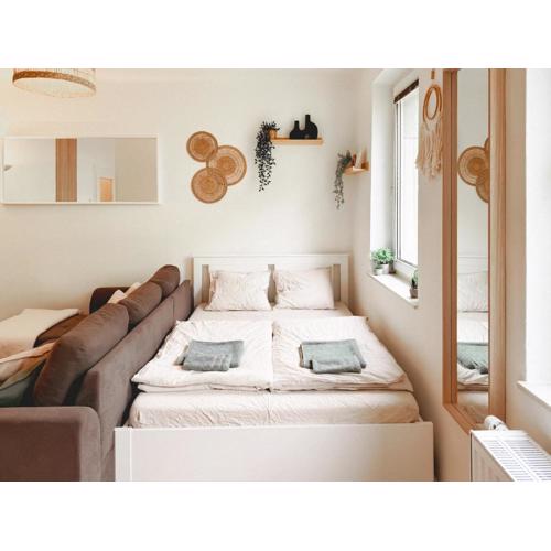 Central BOHO apartment 1