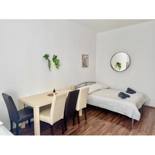 Central Classical Apartment