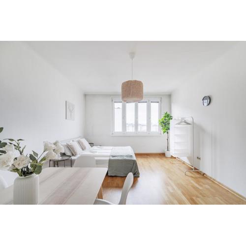 Central Retreat Schwedenplatz