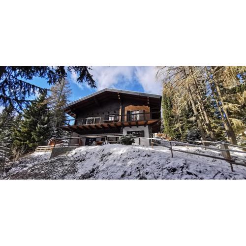 Chalet Alpl - Ferienwohnung Waldblick mit Sauna, Kamin & Whirlwanne