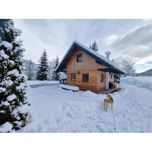 Chalet am Teich Familie Gänser