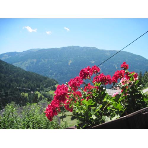 Chalet Catton Two Bedroom Appartement near Bad Kleinkirchheim