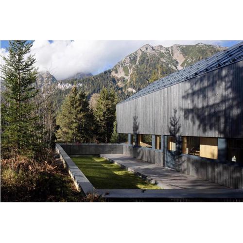 Chalet Dachstein