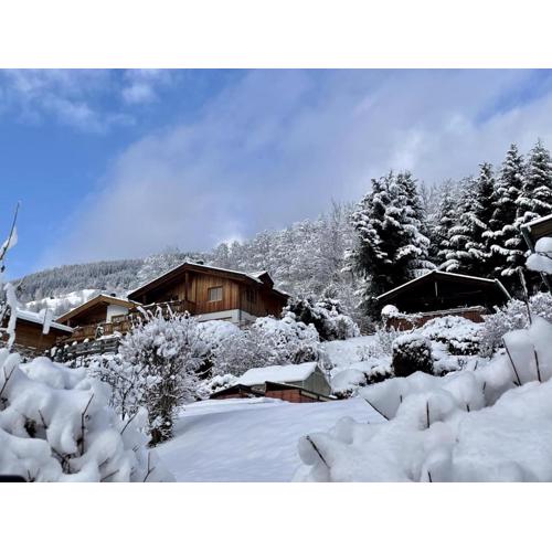 Chalet Erlebnishaus II