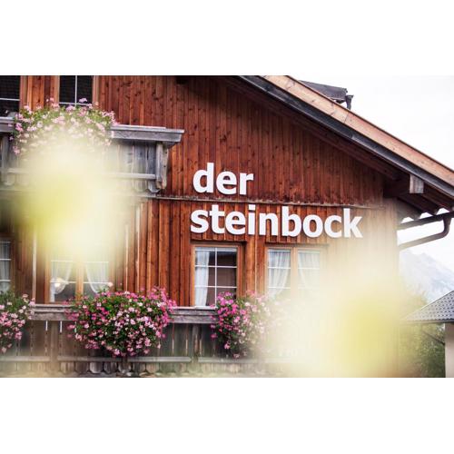 Chalet Hildegard der Steinbock Sommerwohnung Winterferienhaus