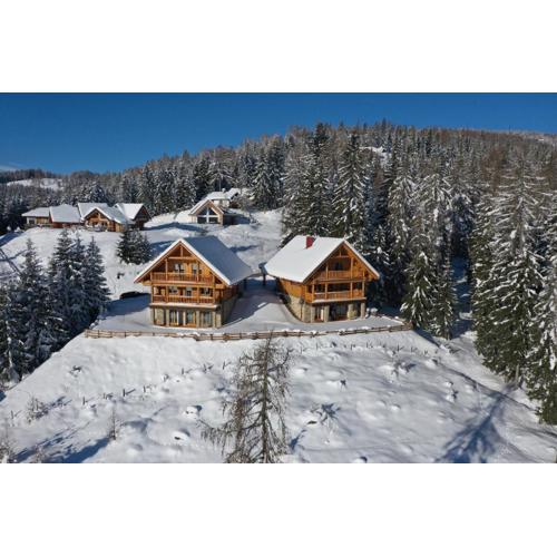 Chalet Hochrindl 2 B