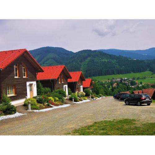 Chalet in Gaal by Ski Slopes & Bathing Pond