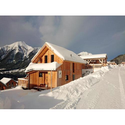 Chalet in Hohentauern near Ski Lift