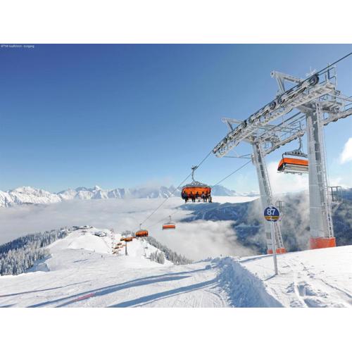 Chalet in Leogang near Ski Lift & Bikepark