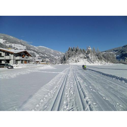 Chalet in Mayrhofen near Penkenbahn Ski Lift