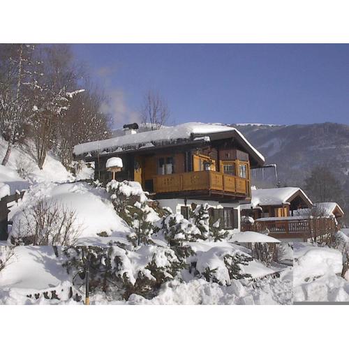 Chalet in Piesendorf by Nagelköpfl Slopes