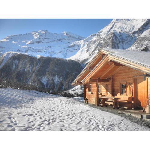 Chalet in Rauris near Ski Paradise