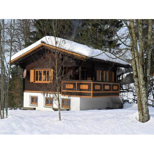 Chalet in Sibratsgfäll near Ski Slopes