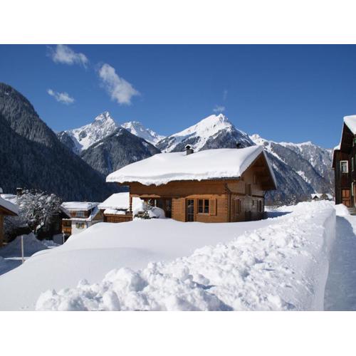 Chalet in St Gallenkirch near Ski Slopes
