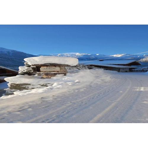 Chalet in Wald near Zillertal Ski Area