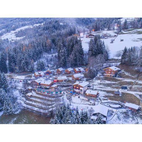 Chalet in Wildkogel near Ski Slopes