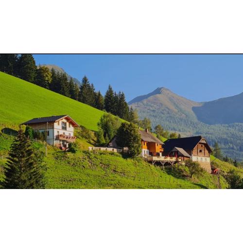 Chalet Leo