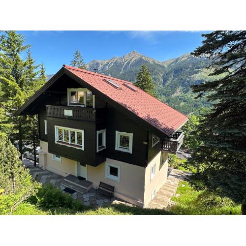 CHALET Sophie & Max in Bad Gastein