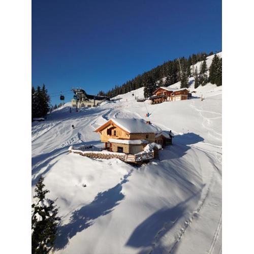 Chalet Vierlauchen