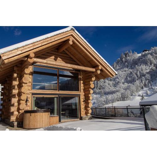 Chalet Zwoasom
