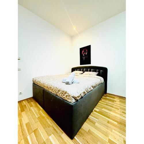 Chic Studio Apt for 5P, 12-Min Walk to Augarten