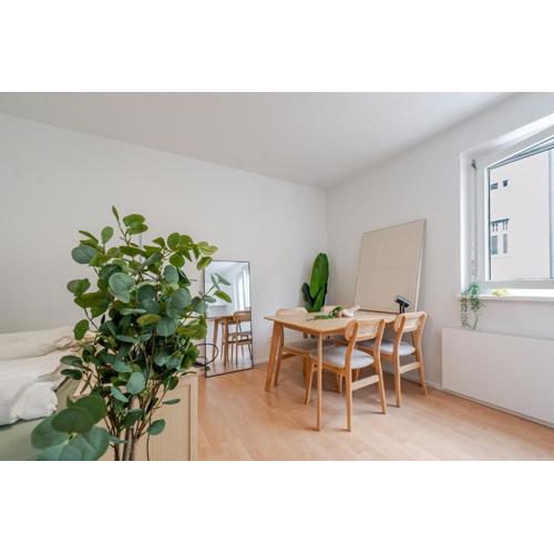 City Studio beim Grazer Augarten