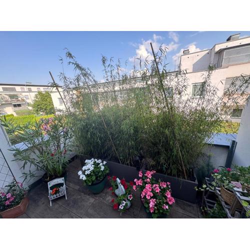 CityApartment Klagenfurt