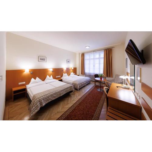 Continental Hotel-Pension