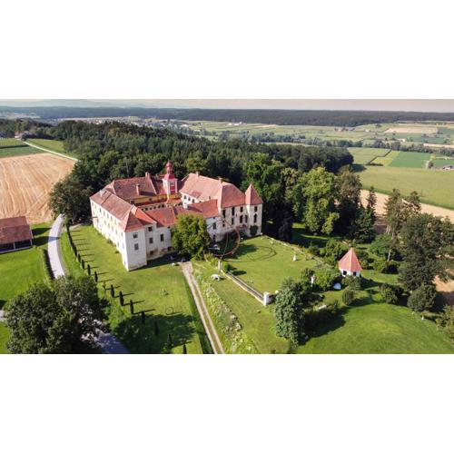 Cool Flat at Renaissance Castle - 3BR
