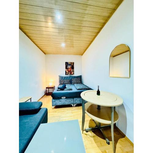 Cozy 4BR Apartment for up to 12People, 10 Minutes to FAC Platz