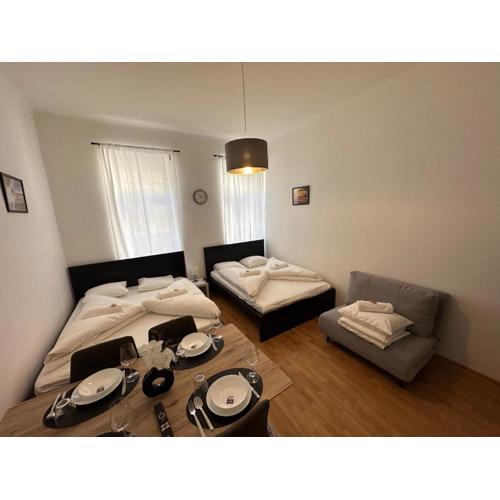 Cozy-5-Person apartment in Vienna 5