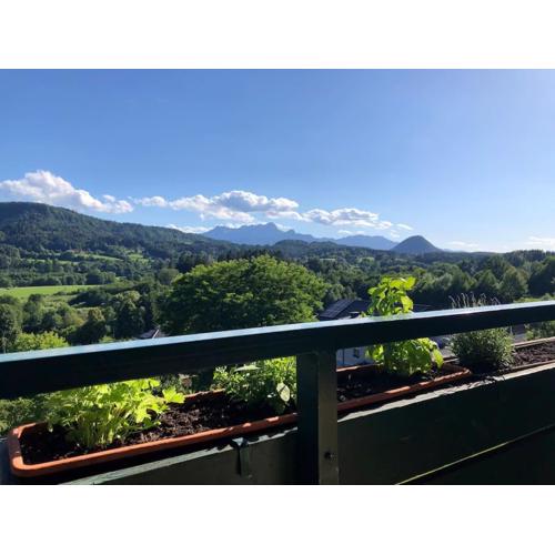 Cozy Apartment with a wonderful Panoramic View