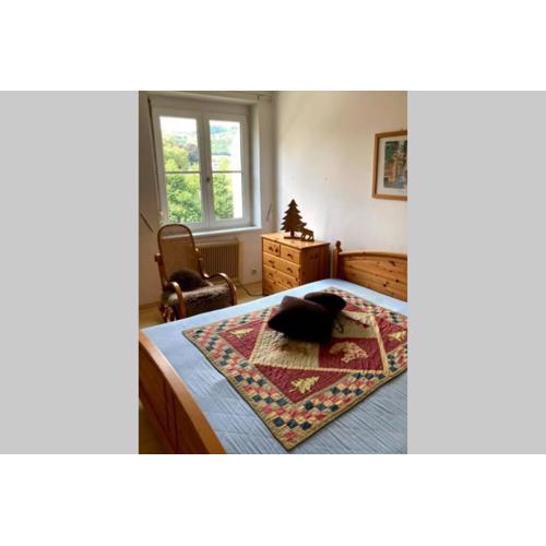 Cozy Condo close to town, castle, lake and hiking