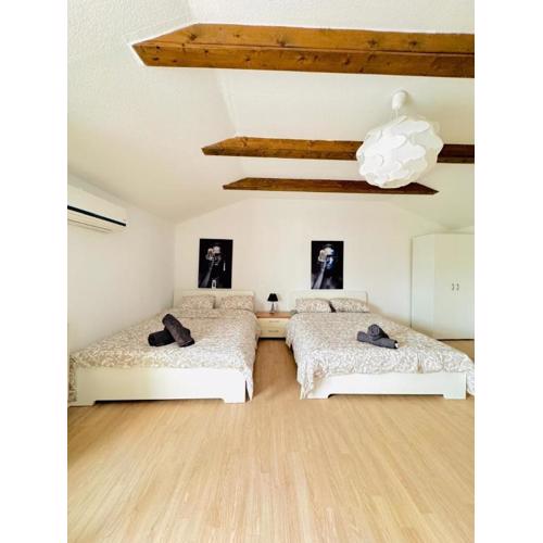 Cozy Rooms in a Villa for Groups, 16-Mins to Blumengärten