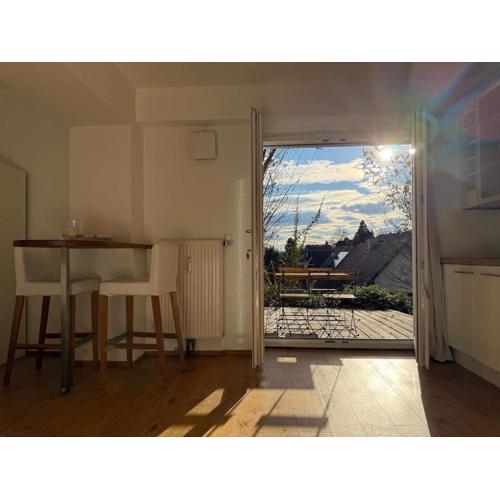 Cozy StudioApartment with Graden in Graz Free Parking