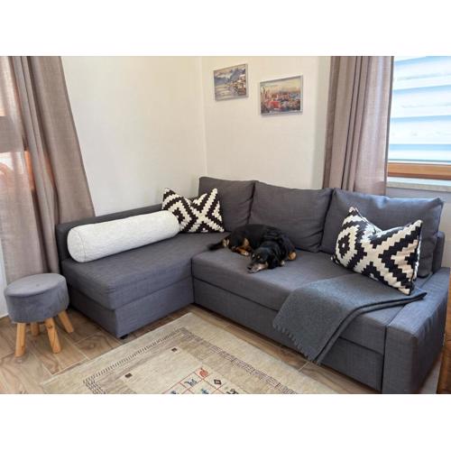 Cozy vacation apartment in Achensee, Tirol Austria