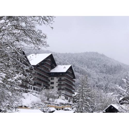 Dachstein 529