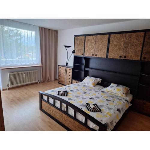 Dachstein Apartments - Bad Mitterndorf