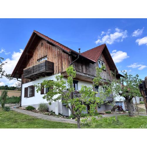 Das Haus 45