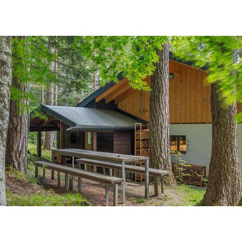 DAS HAUS IM WALD