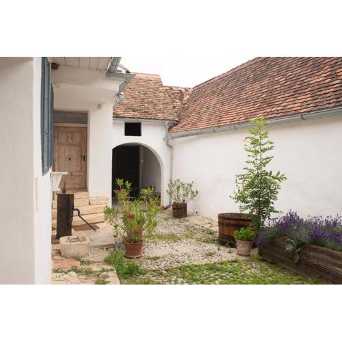 dasFritsch-Historisches Weinbauernhaus im Grünen