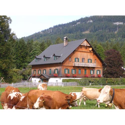 Die Traunmühle