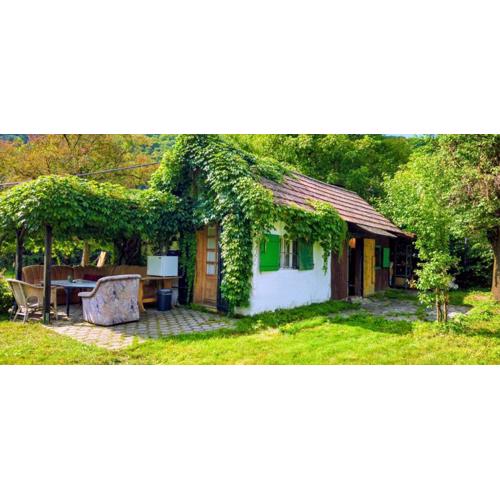 Donauhaus - Natur, Kultur, Entspannung & Sport