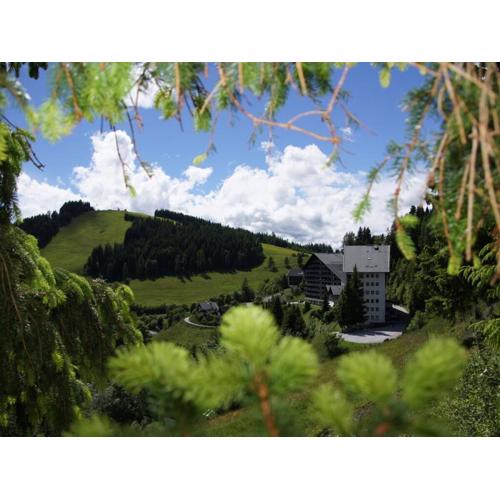 Dream view Simonhöhe