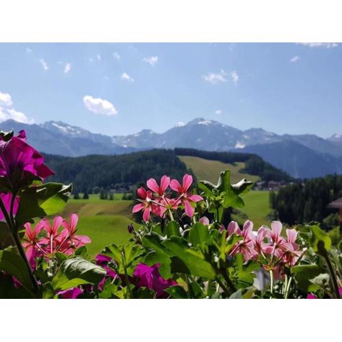 Edelweiss Riding stable Alpine Appart