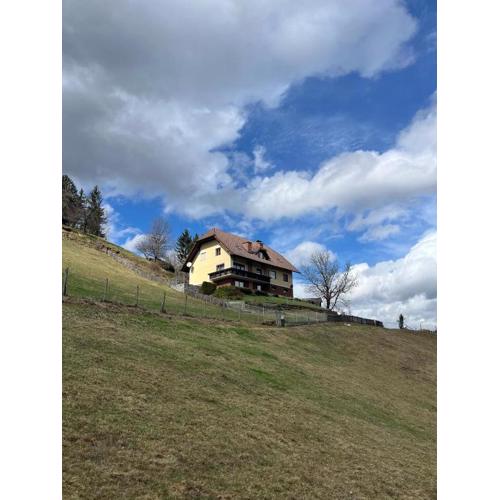 Erholung pur mit Aussicht und Alpakas zum Angreifen nahe!