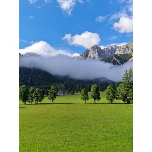 Family Appartment - Dachstein View