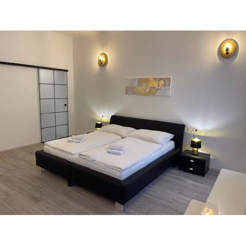 Fancy Apartment in the City Center